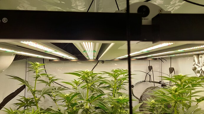 Growreport Bild 1