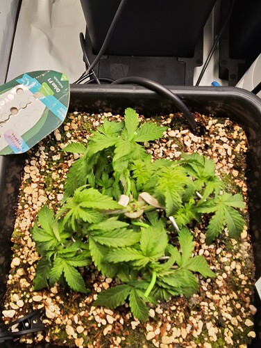 MVIMG_20251007_205010