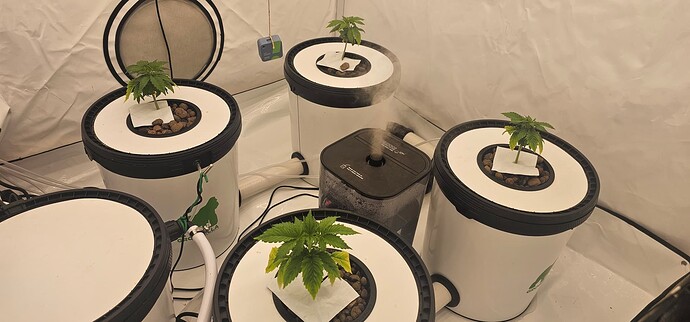 Growreport Bild 16
