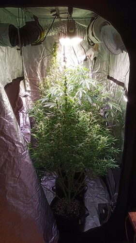 IMG_20240513_092724_392