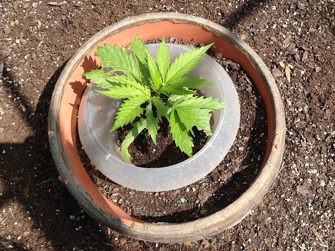 Growreport Bild 26