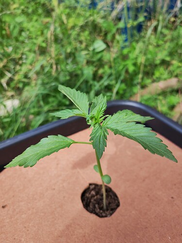 Growreport Bild 12