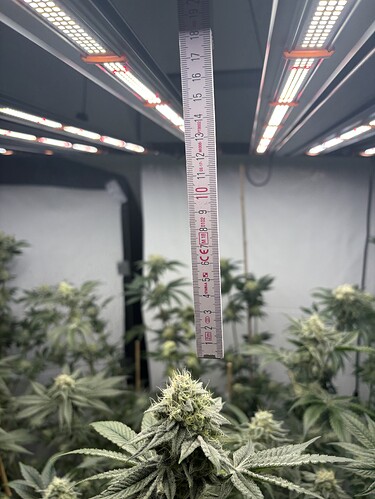 Growreport Bild 53