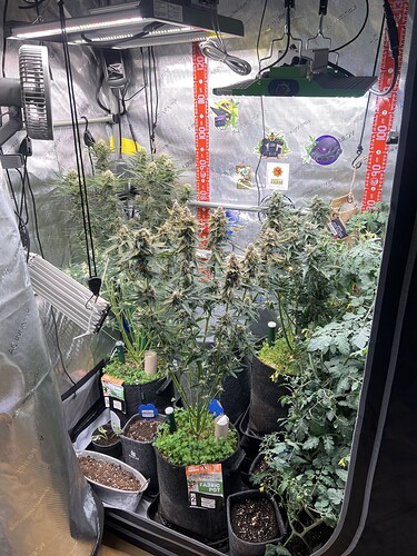 Growreport Bild 20