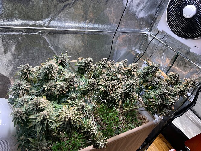 Growreport Bild 6
