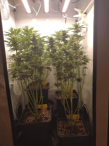 Growreport Bild 10