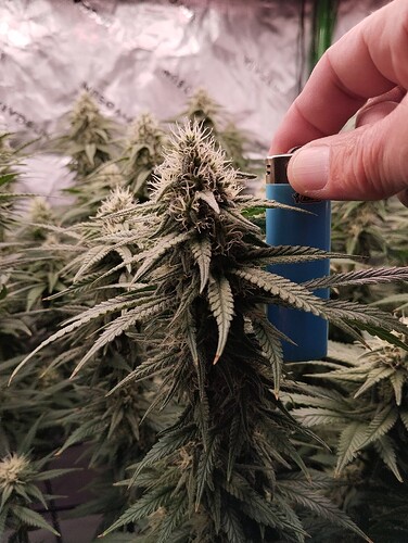 Growreport Bild 16