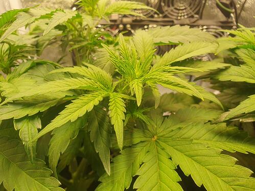 29 Tage_2025-05-25-161957_003