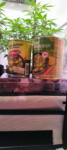 Growreport Bild 15