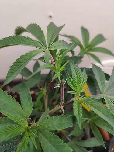 WhatsApp Image 2024-05-25 at 16.36.11 (1)