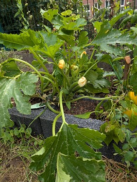 Growreport Bild 24