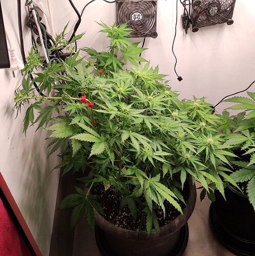 Growreport Bild 12
