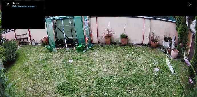 Growreport Bild 9
