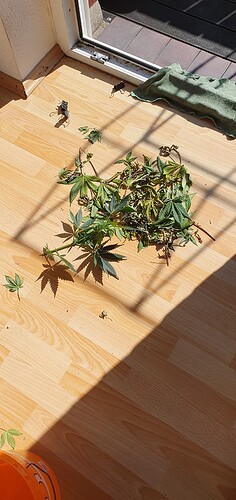 Growreport Bild 4