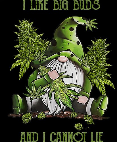 Growreport Bild 1