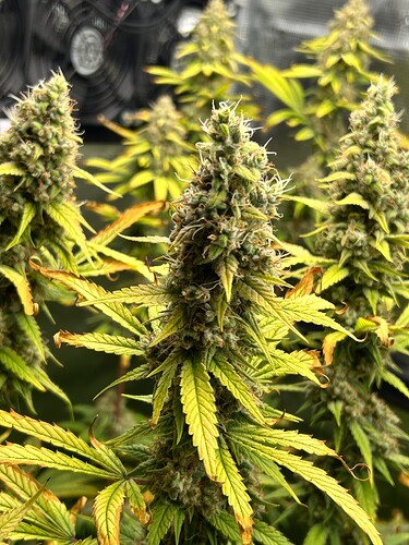 Growreport Bild 23