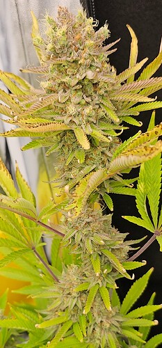 Growreport Bild 10