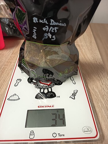 Growreport Bild 3