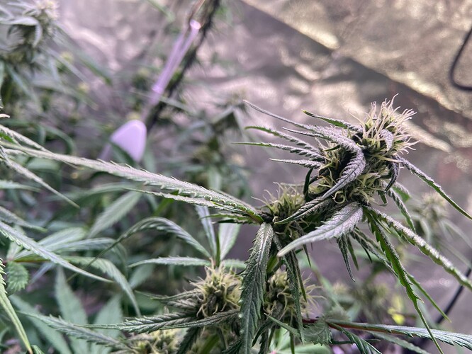 Growreport Bild 10