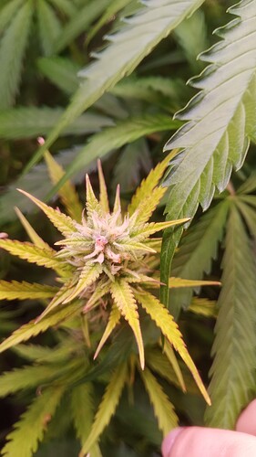 IMG_20240513_092830_919