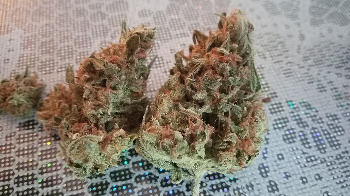 Growreport Bild 9