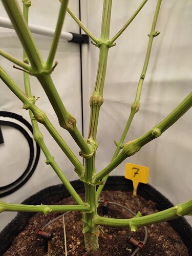 Growreport Bild 17