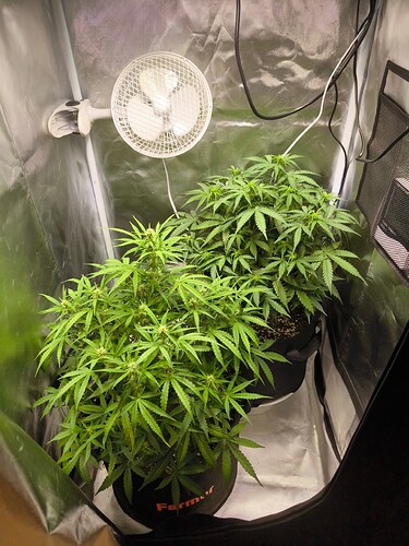 Growreport Bild 1