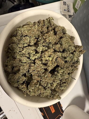 Growreport Bild 25