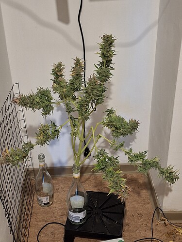 Growreport Bild 8