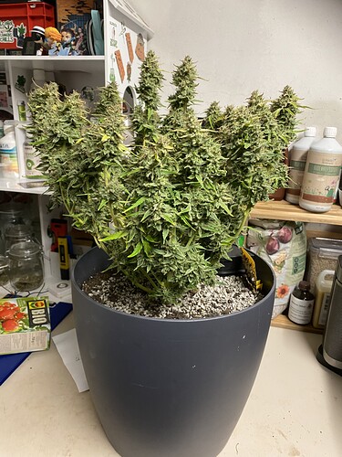 Growreport Bild 10