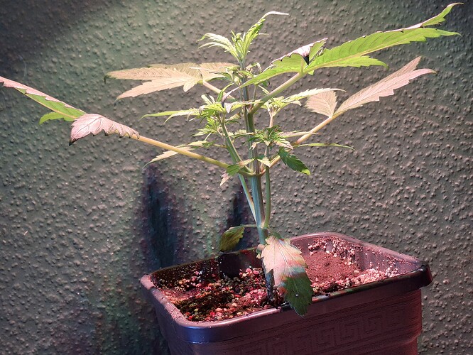 Growreport Bild 13