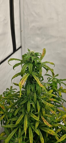 Growreport Bild 9