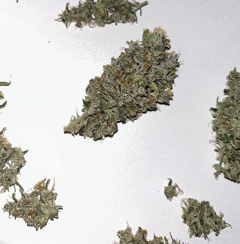 Growreport Bild 26