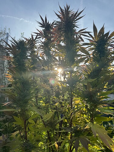 Growreport Bild 15
