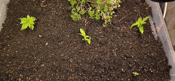 Growreport Bild 12