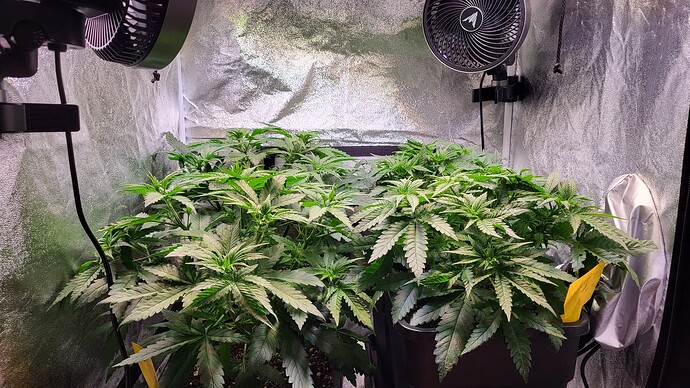 Growreport Bild 6