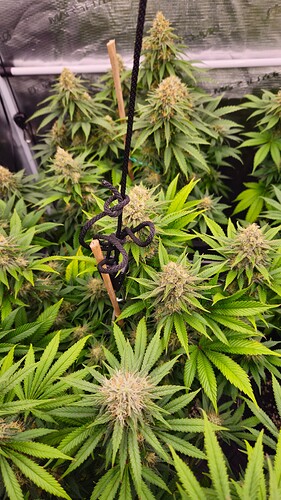 Growreport Bild 17