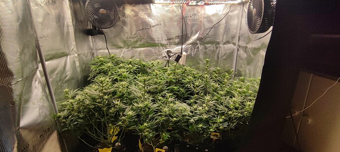 Growreport Bild 8