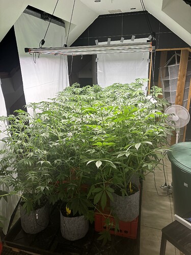 Growreport Bild 42