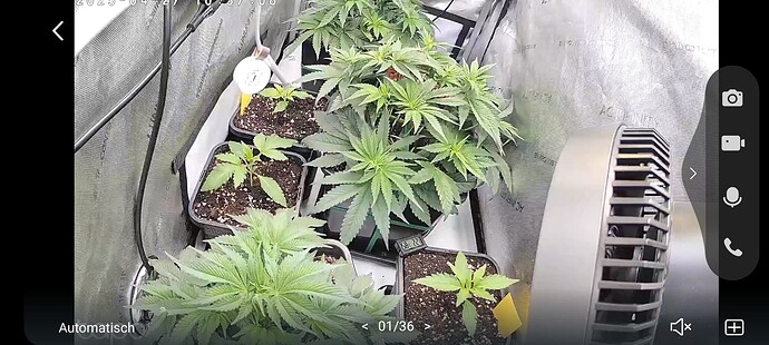 Growreport Bild 28