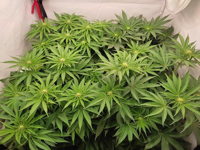 Growreport Bild 14