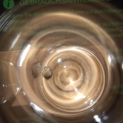 Growreport Bild 16