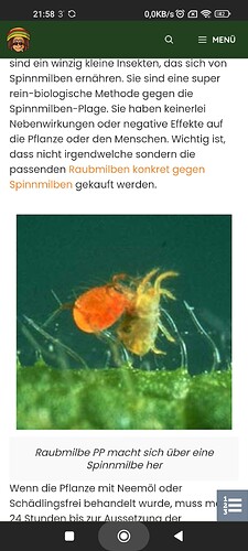Growreport Bild 29