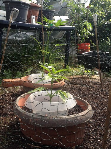 Growreport Bild 14