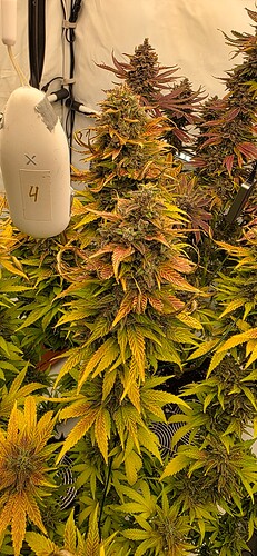 Growreport Bild 17