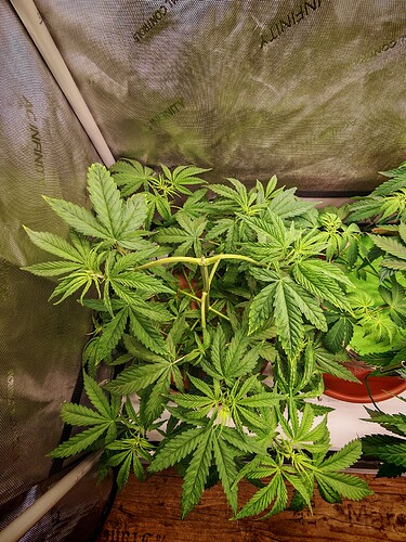 Growreport Bild 3