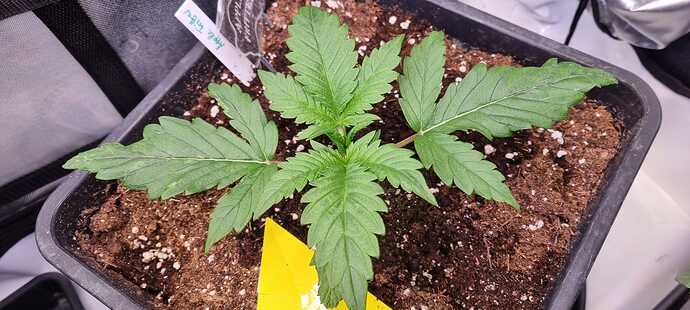 WhatsApp Image 2025-12-08 at 18.13.07 (2)