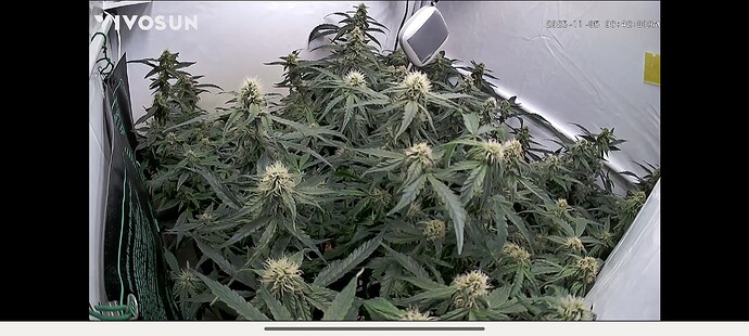 Screenshot_2025-11-05-08-42-05-159_com.vivosun.android