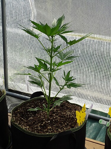 Growreport Bild 7