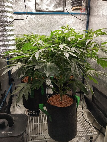 Growreport Bild 12